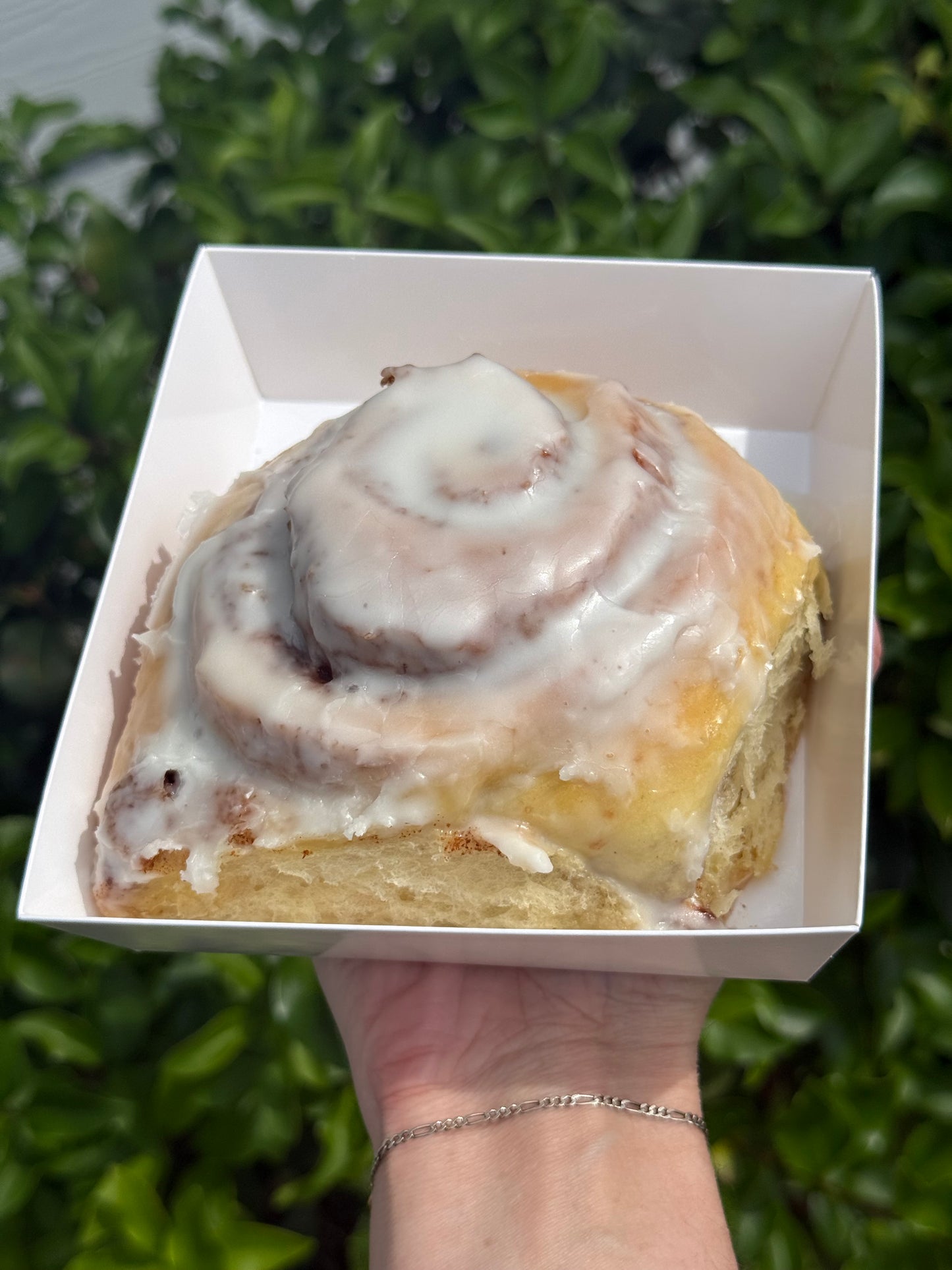 Cinnamon Rolls